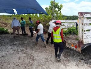 Mara Lezama Espinosa invitó a la población de Quintana Roo a participar este domingo 9 de agosto en la Jornada Nacional de Reforestación
