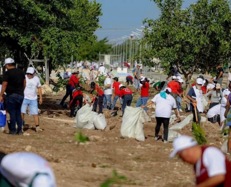 Mara Lezama invita en la Jornada Nacional de Reforestación