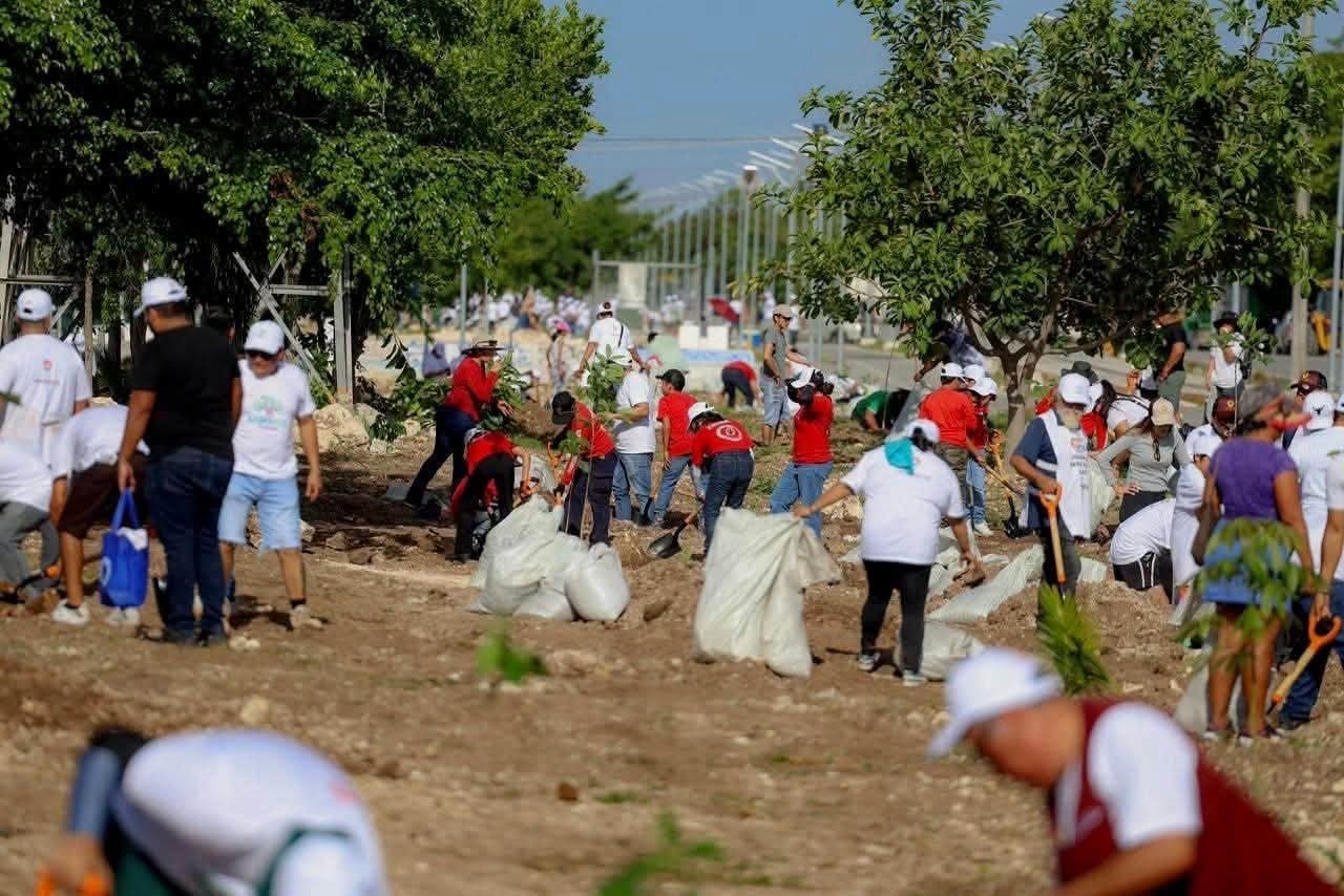 Mara Lezama invita en la Jornada Nacional de Reforestación