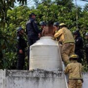 "Míster Rotoplas" atrapado en tinaco: insólito rescate de un supuesto sancho