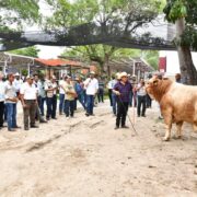 Muestra Mexicana del Cebú impulsa el encuentro