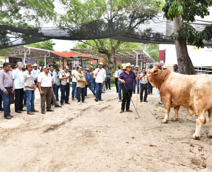 Muestra Mexicana del Cebú impulsa el encuentro