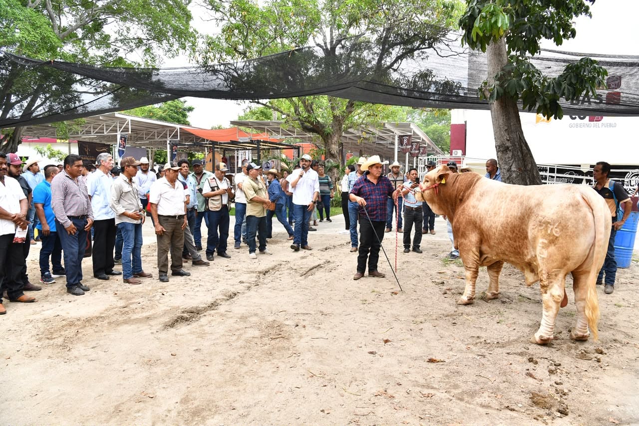 Muestra Mexicana del Cebú impulsa el encuentro