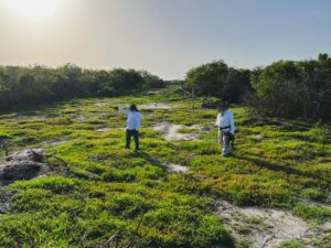 Participaron 397 elementos de Secretaría de Marina, Guardia Nacional, Secretaría de Seguridad Pública del Estado de Yucatán y la Procuraduría; fueron afectadas más de 130 hectáreas de vegetación forestal