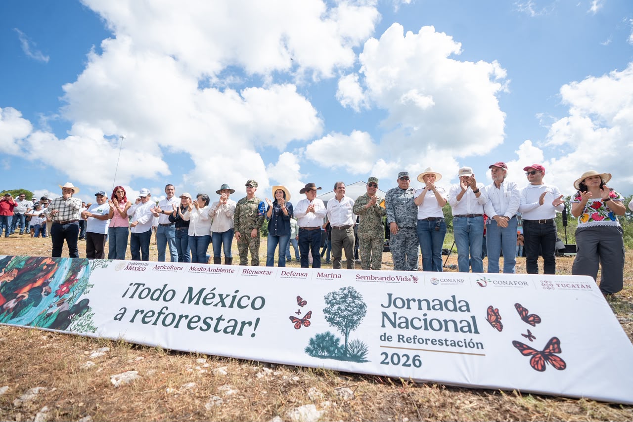 Reforesta Renacimiento Maya 292 hectáreas 