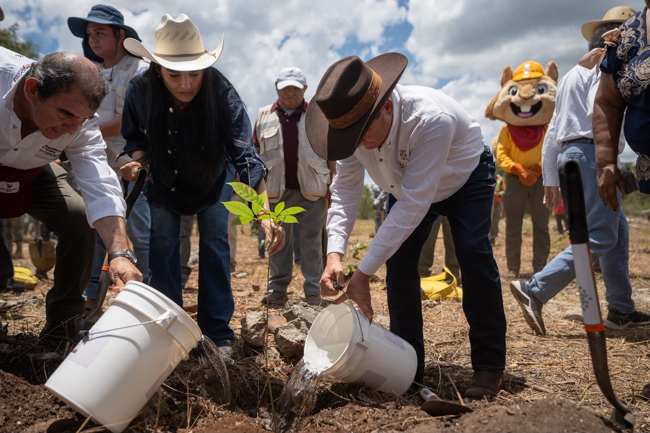 Reforestar para proteger el agua