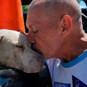 Resguardaron a dos perros pitbulls tras ataque a una señora de la tercera edad