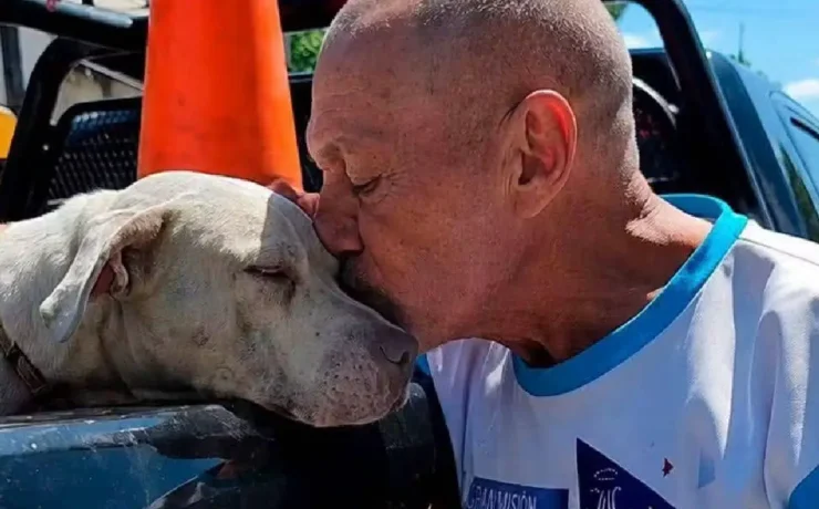 Resguardaron a dos perros pitbulls tras ataque a una señora de la tercera edad