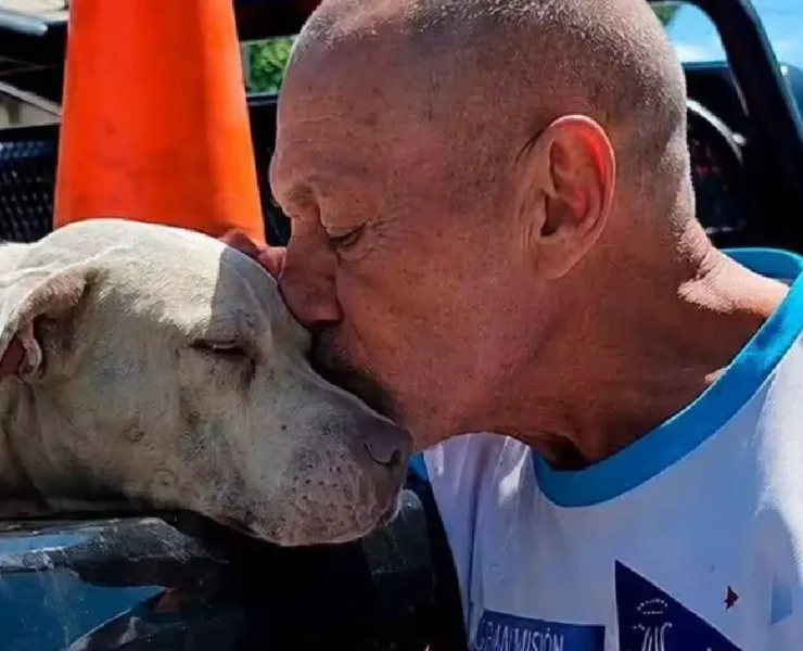 Resguardaron a dos perros pitbulls tras ataque a una señora de la tercera edad