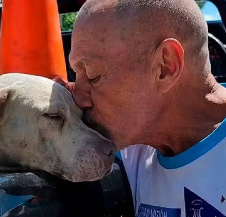 Resguardaron a dos perros pitbulls tras ataque a una señora de la tercera edad