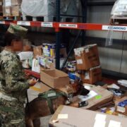 “SCUDERIA” detecta presunta marihuana en aeropuerto de Mérida durante inspección