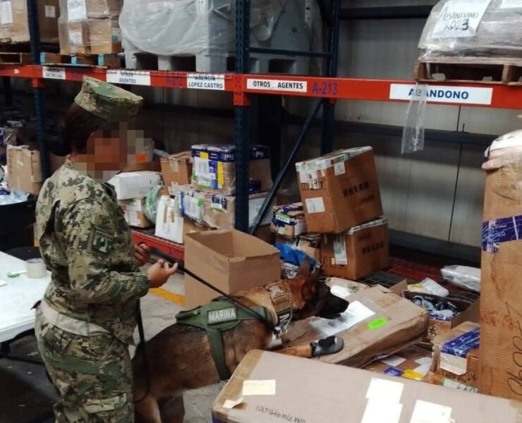 “SCUDERIA” detecta presunta marihuana en aeropuerto de Mérida durante inspección