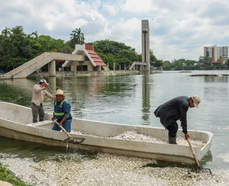 SEMADES refuerza acciones para atender afectación de peces