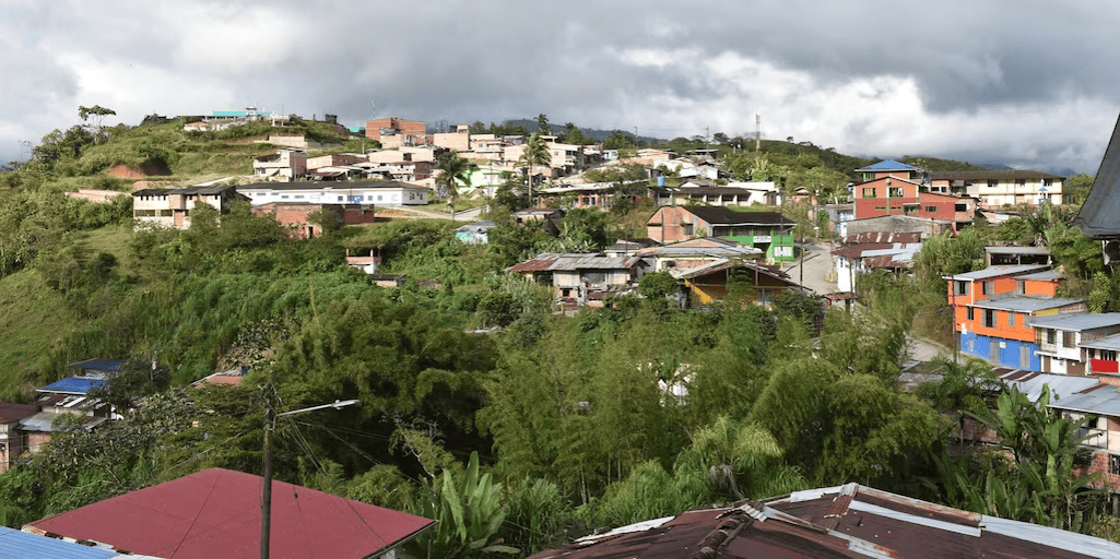 San José del Palmar enfrenta aislamiento