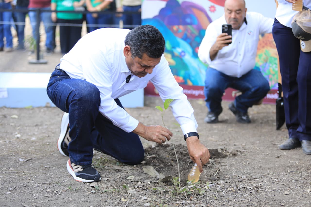 Tabasco mantiene su propia meta de reforestación