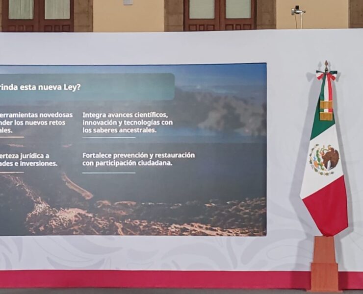 Incentivos económicos para proteger bosques, selvas y mares