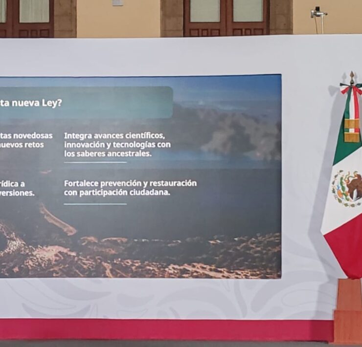 Incentivos económicos para proteger bosques, selvas y mares
