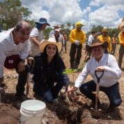 Yucatán inicia Jornada de Reforestación