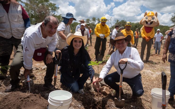 Yucatán inicia Jornada de Reforestación