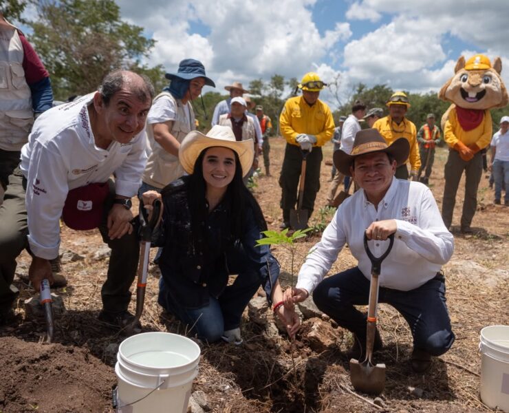 Yucatán inicia Jornada de Reforestación