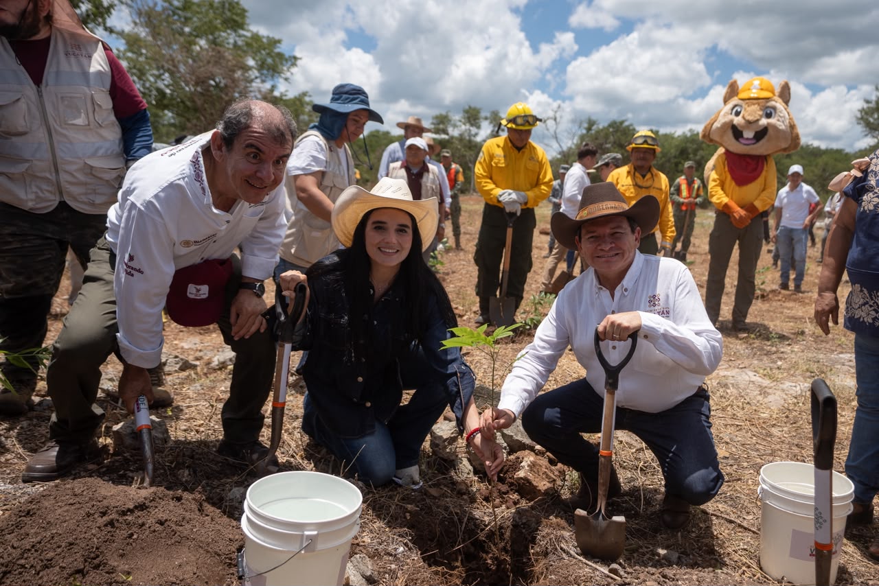 Yucatán inicia Jornada de Reforestación