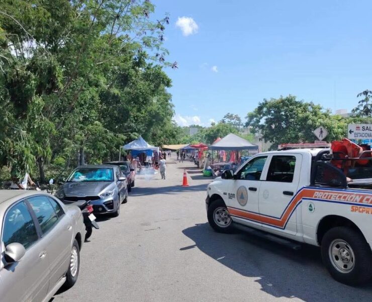 ¡Alerta en Playa del Carmen! Abejas Pican a Dos Personas en Tianguis