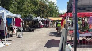 Dos personas fueron atendidas por paramédicos de Protección Civil luego de sufrir picaduras de abeja