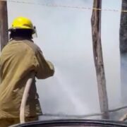 ¡Ardió todo! Candela encendida provoca incendio y consume una palapa en Tizimín