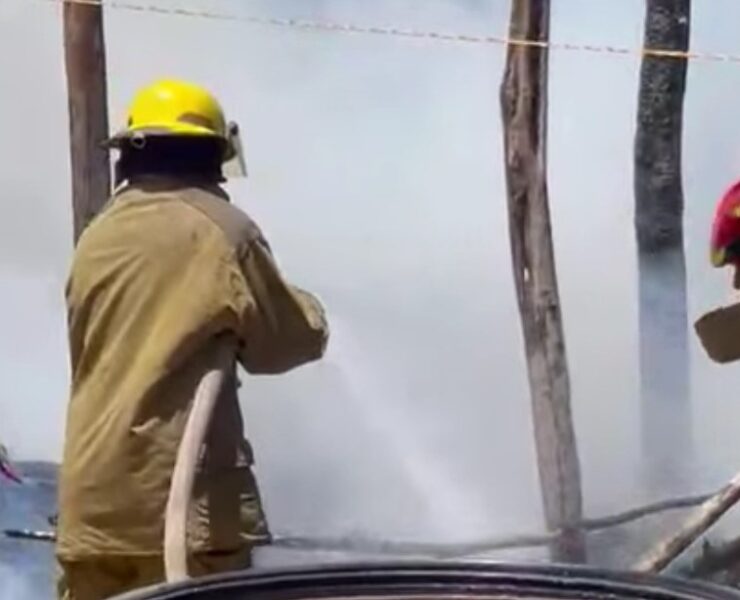 ¡Ardió todo! Candela encendida provoca incendio y consume una palapa en Tizimín