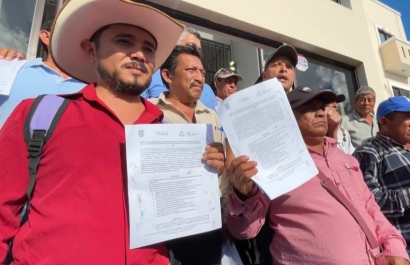 ¡Desastre! Maiceros de Campeche afectados por sequía