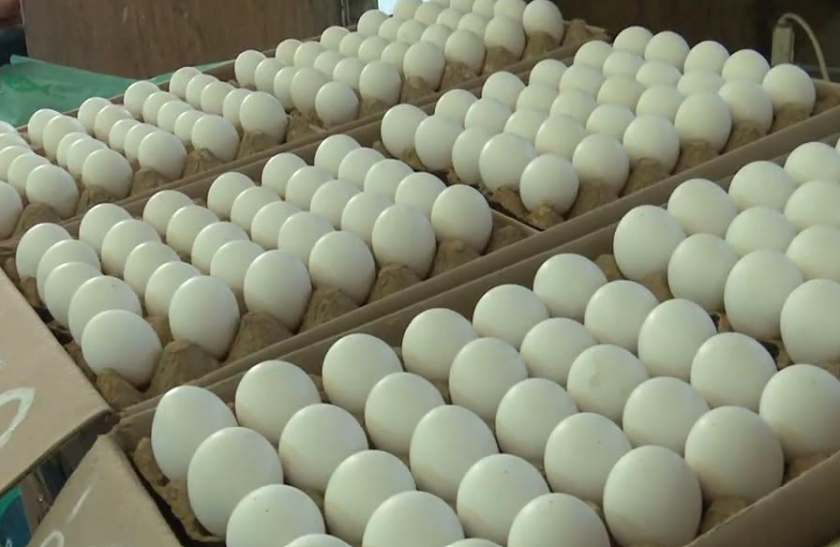 Hábitos de compra de los campechanos en los mercados