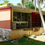 Rescatan escuela abandonada llena de murciélagos en Campeche.