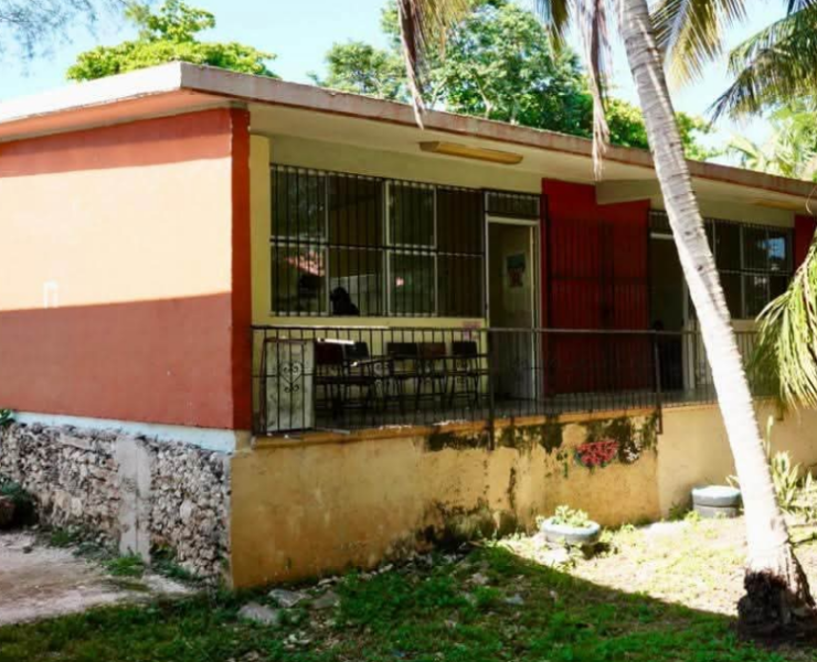 Rescatan escuela abandonada llena de murciélagos en Campeche.