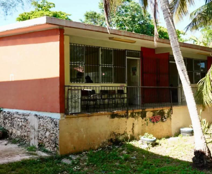 Rescatan escuela abandonada llena de murciélagos en Campeche.