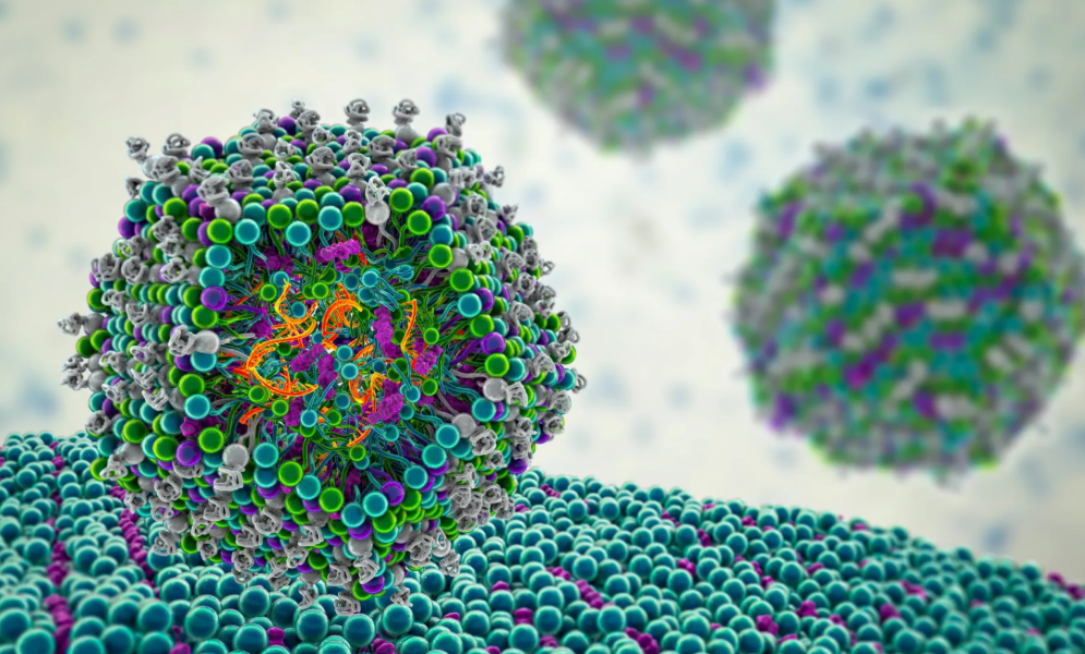 Una vacuna personalizada para cada tumor