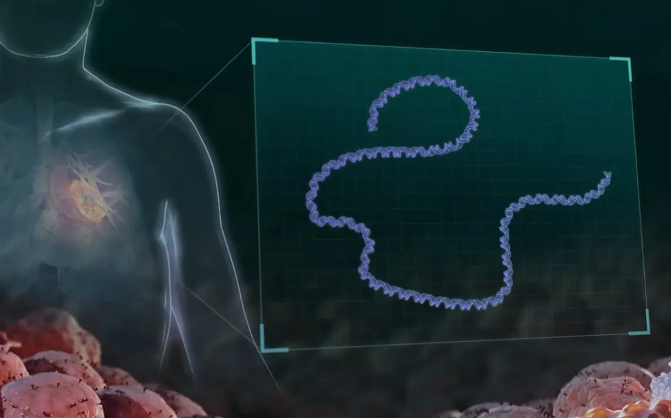 No es una vacuna universal contra el cáncer