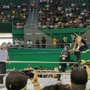 Día Nacional de la lucha libre historia de una tradición mexicana
