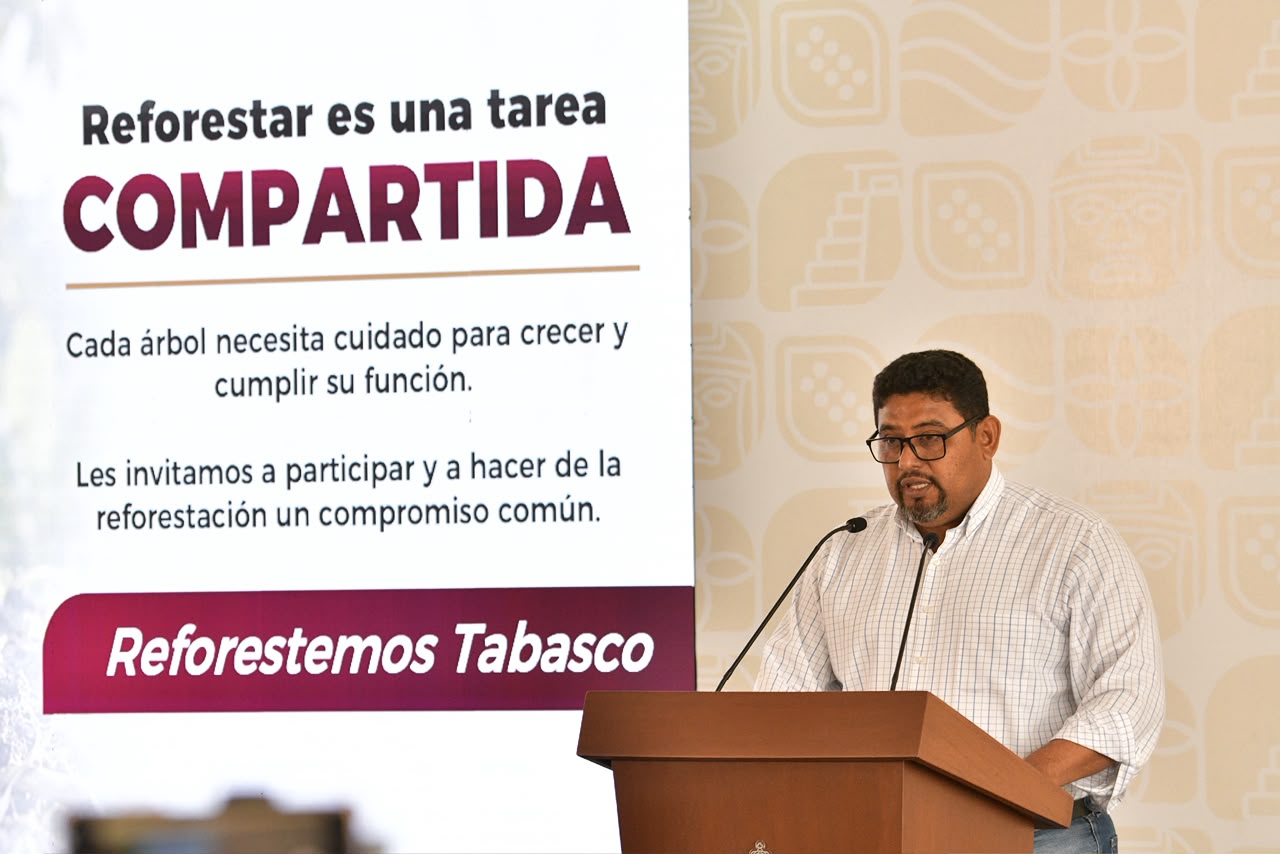 Reforestación se suma a programas permanentes