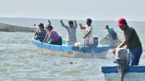 Productores ostrícolas de Paraíso reciben respaldo mediante el programa Pescando Vida, que impulsa la actividad y fortalece la economía de las familias dedicadas al sector pesquero.