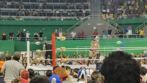 La lucha libre mexicana ha conquistado a generaciones de aficionados con sus máscaras, personajes y emocionantes combates, convirtiéndose en una tradición que fortalece la convivencia familiar.