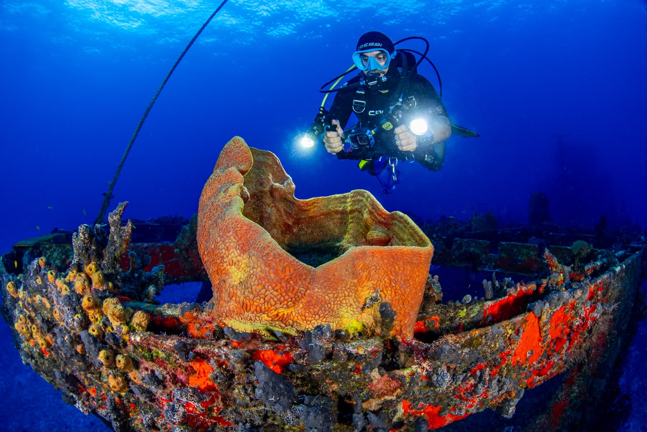 Buceo en Quintana Roo: Nuevos Acuerdos Para Facilitar La Experiencia Turística