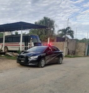 Ocho pavos y un gallo murieron durante la madrugada luego de que varios perros ingresaran a un predio de la colonia 8 calles