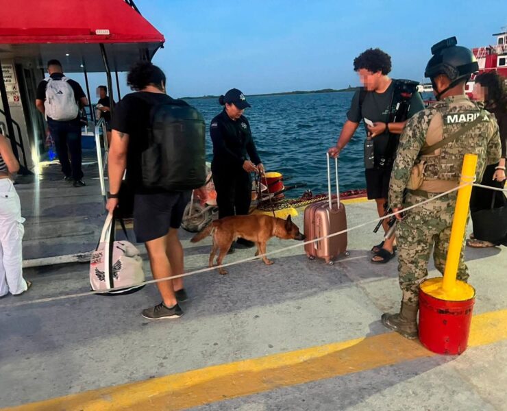Unidad Canina K9 intensifica vigilancia y prevención en Quintana Roo
