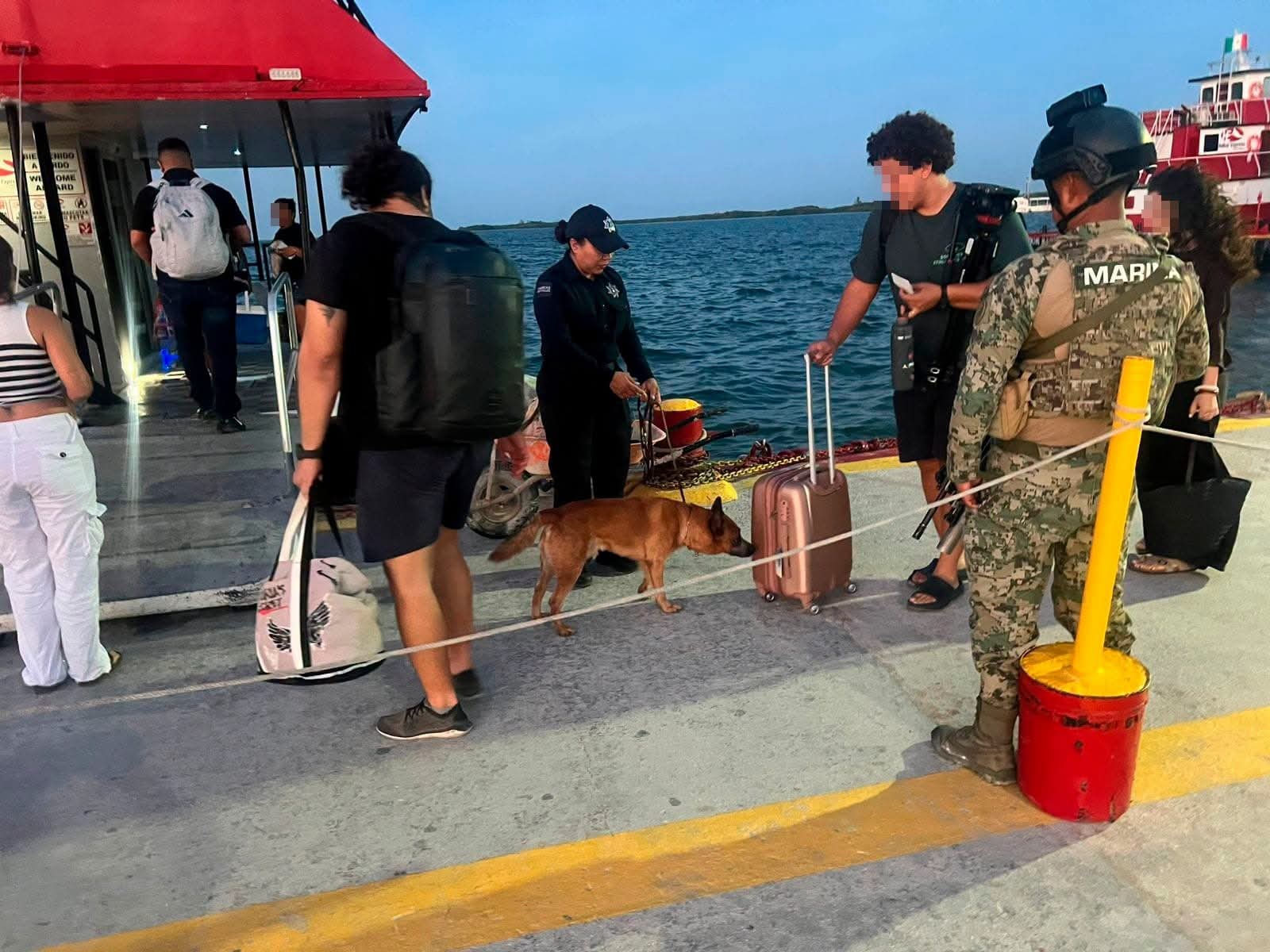 Unidad Canina K9 intensifica vigilancia y prevención en Quintana Roo
