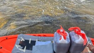 La causa del encallamiento fue una falla mecánica