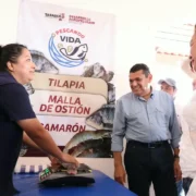Autosuficiencia alimentaria de Tabasco se fortalece con Pescando Vida