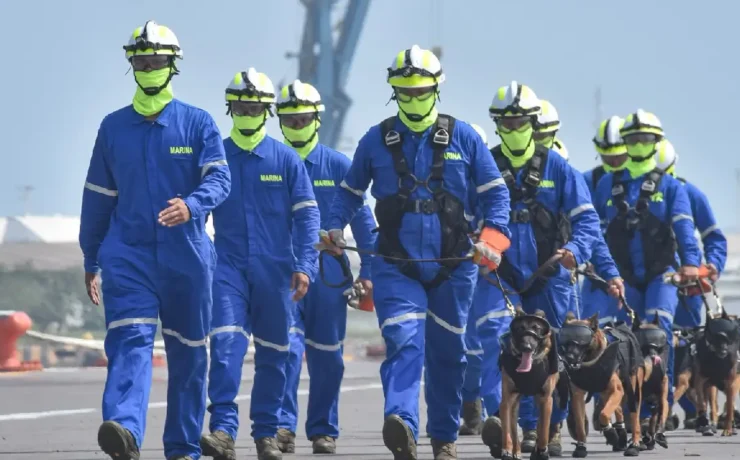 Binomios caninos de la Armada de México, aliados fundamentales del Plan Marina