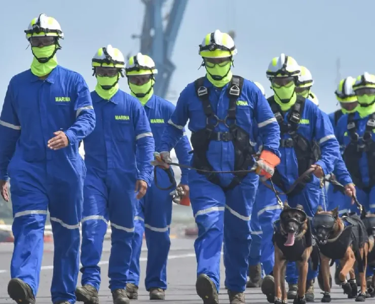 Binomios caninos de la Armada de México, aliados fundamentales del Plan Marina