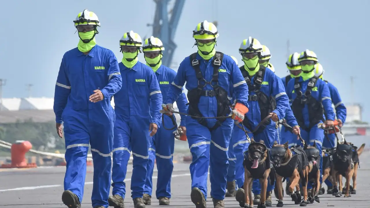 Binomios caninos de la Armada de México, aliados fundamentales del Plan Marina