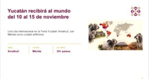 Ejemplares de la raza Brahman llegarán a Yucatán para participar en el Congreso Mundial Brahman 2026, que reunirá a criadores y especialistas de más de 30 países durante la Feria Xmatkuil.